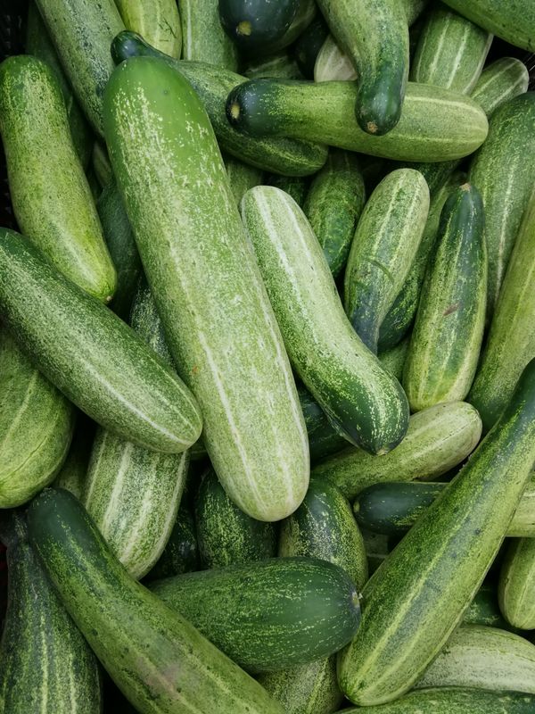Concombre & Courgette