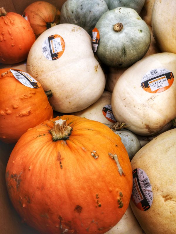 Courge & Potiron