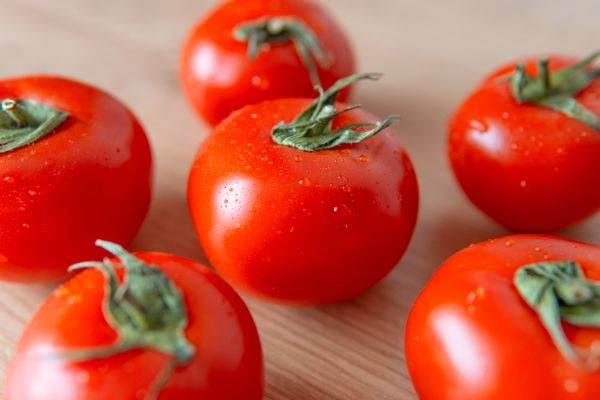 Réussir la culture de la tomate au Tchad